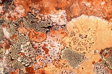 Liken taş dokusuna. Kaba granit taş arka plan doku Rock. Eski bir taş duvar.