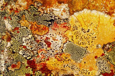 Liken taş dokusuna. Kaba granit taş arka plan doku Rock. Eski bir taş duvar. 