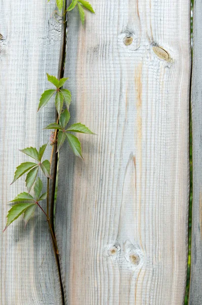 Textuur Van Houten Draagstructuur — Stockfoto