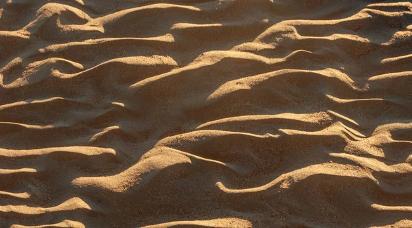 The texture of the sand. Sand in the wild nature