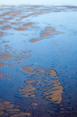 Kum doku. Vahşi doğada kum