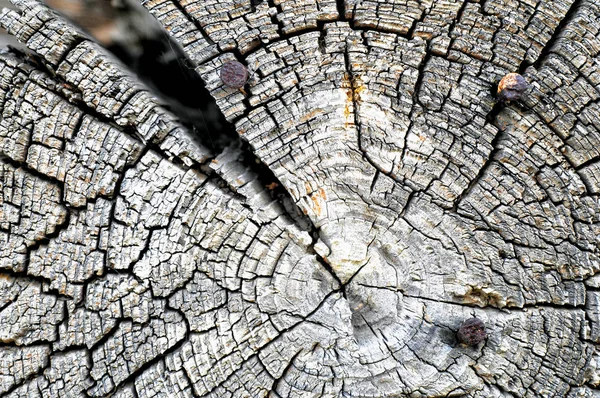 Texture Old Wood Structure — Stock Photo, Image