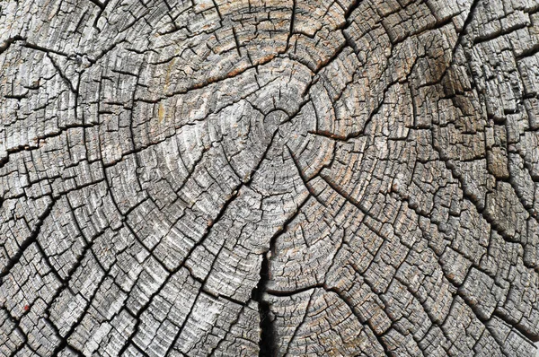 Texture Old Wood Structure — Stock Photo, Image