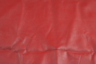 deri dokusuna. Fotoğraf bir stüdyoda çekildi