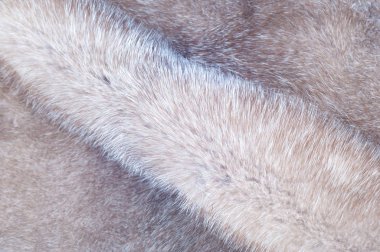 Doku vizon kürk. Vizon kürk stüdyo fotoğrafı