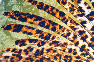 İyi bir açık kumaş