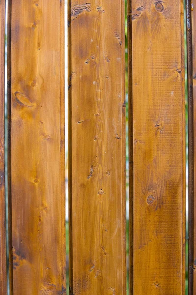 Texture Wood Structure — Stock Photo, Image