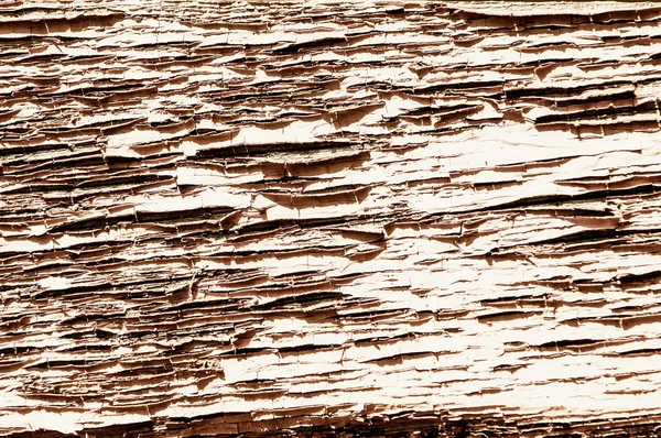 Текстура Древесины — стоковое фото