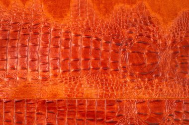 Timsah Cilt. Sanatsal deri timsah