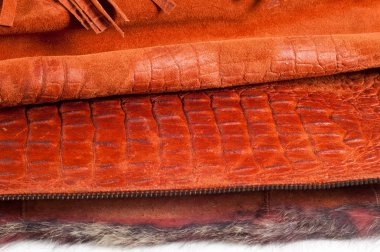 Timsah Cilt. Sanatsal deri timsah