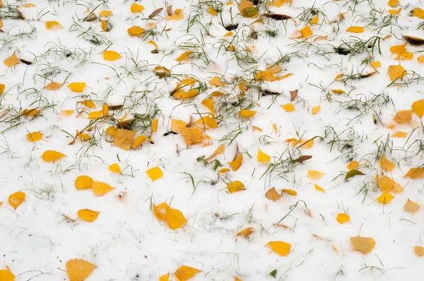 Leaves Autumn Snow Texture Photographed Street — Stock Photo, Image