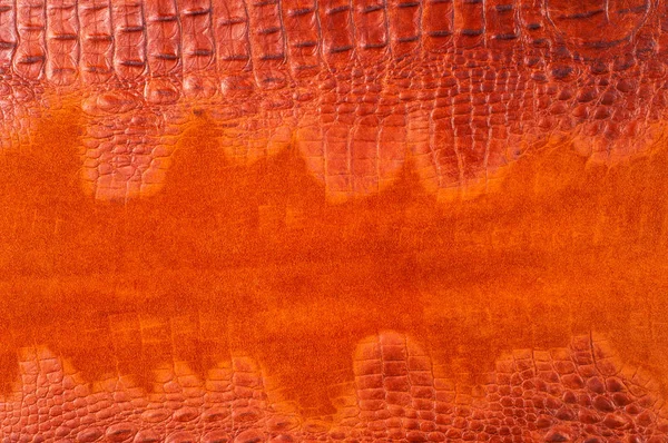 Crocodile Skin Artistic Leather Crocodile — Stock Photo, Image