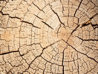 Eski ahşap (Yönetim Kurulu) doku. eski ahşap arka plan. arka plan olarak kullanılan eski, grunge ahşap paneller