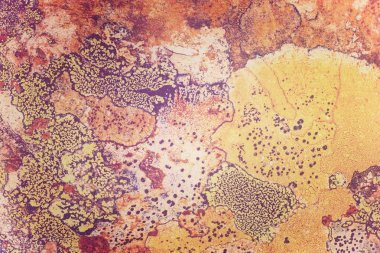 Liken taş dokusuna. Kaba granit taş arka plan doku Rock. Eski bir taş duvar.