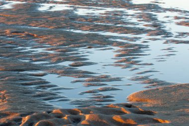 Kum doku. Vahşi doğada kum