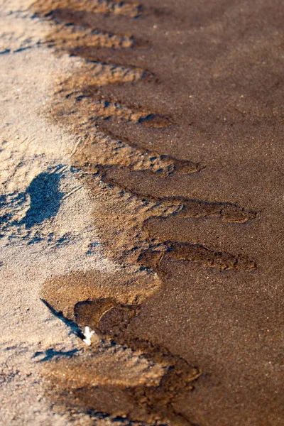 Texture Sand Sand Wild Nature — Stock Photo, Image