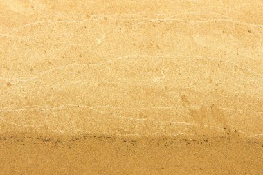 Doku, arka plan. kum plaj. gevşek taneli madde, soluk sarımsı kahverengi, silisli ve diğer kayalar erozyon kaynaklanan ve plajları büyük bir kurucu şekillendirme,