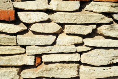 doku taş. içinde belgili tanımlık vahşi fotoğrafı