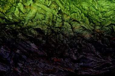 Doku, arka plan, desen. Ağaç kabuğu. Dışarıda, kereste, Mayo, parçası kaynaklanıyor ve odunsu bitkilerin kökleri.