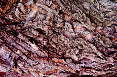 Doku, arka plan, desen. Ağaç kabuğu. Dışarıda, kereste, Mayo, parçası kaynaklanıyor ve odunsu bitkilerin kökleri.
