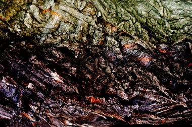 Doku, arka plan, desen. Ağaç kabuğu. Dışarıda, kereste, Mayo, parçası kaynaklanıyor ve odunsu bitkilerin kökleri.