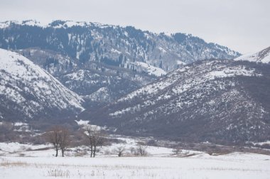 Bahar manzara, ilkbahar toprak yol. Trans-Ili Alatau eteklerinde