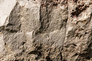 doku taş. içinde belgili tanımlık vahşi fotoğrafı