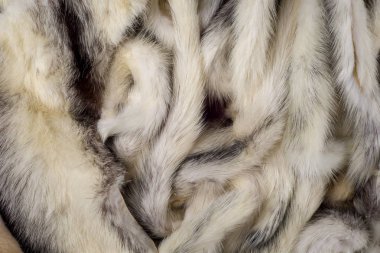 Doku, arka plan. Vizon kürk çok renkli. vizon kuyrukları