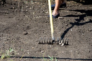 Doku, arka plan. toprak. Hangi bitkiler büyümek, siyah veya koyu kahverengi malzeme dünya üst tabakası. toprak, toprak, toprak, ana kaya, kir