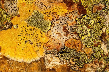 Liken taş dokusuna. Kaba granit taş arka plan doku Rock. Eski bir taş duvar.