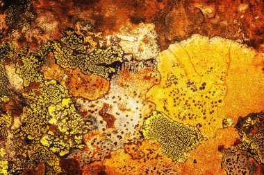 Liken taş dokusuna. Kaba granit taş arka plan doku Rock. Eski bir taş duvar.