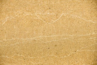 Doku, arka plan. kum plaj. gevşek taneli madde, soluk sarımsı kahverengi, silisli ve diğer kayalar erozyon kaynaklanan ve plajları büyük bir kurucu şekillendirme,