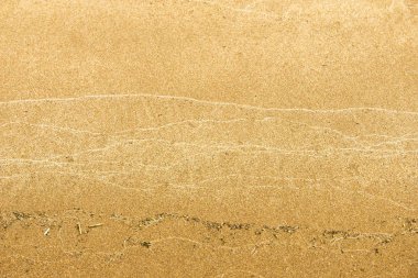 Doku, arka plan. kum plaj. gevşek taneli madde, soluk sarımsı kahverengi, silisli ve diğer kayalar erozyon kaynaklanan ve plajları büyük bir kurucu şekillendirme,