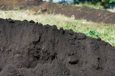 Doku, arka plan. toprak. Hangi bitkiler büyümek, siyah veya koyu kahverengi malzeme dünya üst tabakası. toprak, toprak, toprak, ana kaya, kir
