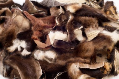 Doku, arka plan. Vizon kürk. Atık üretimi. Mink küçük yamalar