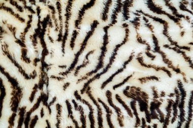 Arka plan doku. koyun, kuzu derisi, koyun, ödün. bir koyunun zaman özellikle bir giysi veya halı içine yapılan cilt üzerinde yün ile. 