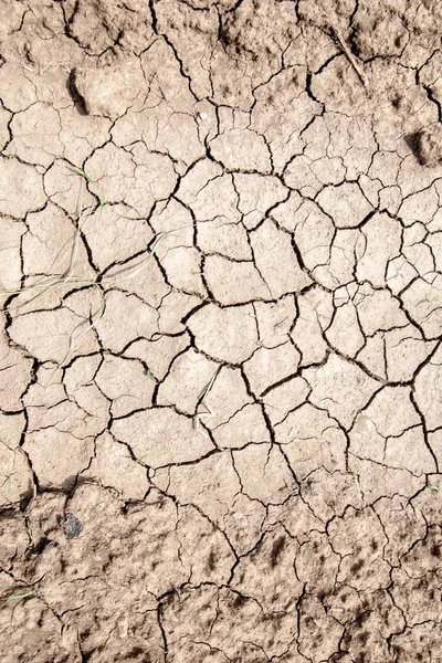 萨哈拉 干燥的土地的纹理 干裂的地球背景 土地与干燥的裂缝地面 地面干燥和裂开的土地 — 图库照片
