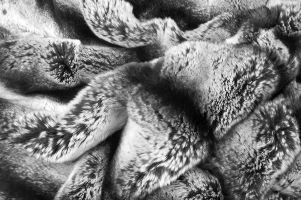 Kaninchenfell Textur Hintergrund Ein Wühlendes Geselliges Pflanzenfressendes Säugetier Mit Langen — Stockfoto