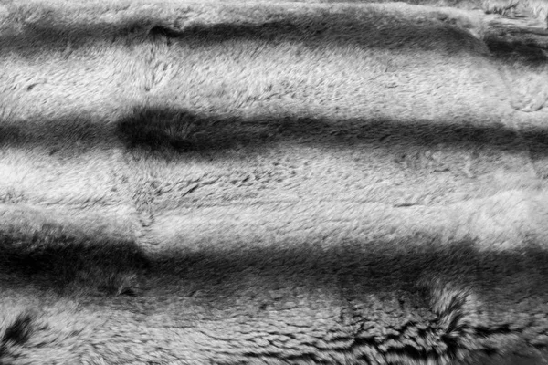 Текстура Кролячого Хутра Фон Горобцеподібний Ссавець Їсть Рослини Довгими Вухами — стокове фото