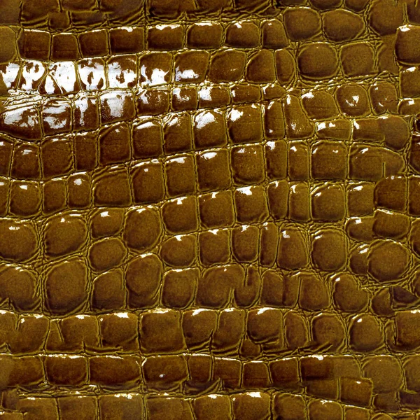 Textura Sin Costuras Patrón Piel Cocodrilo Alivio Piel Marrón Verde —  Fotos de Stock