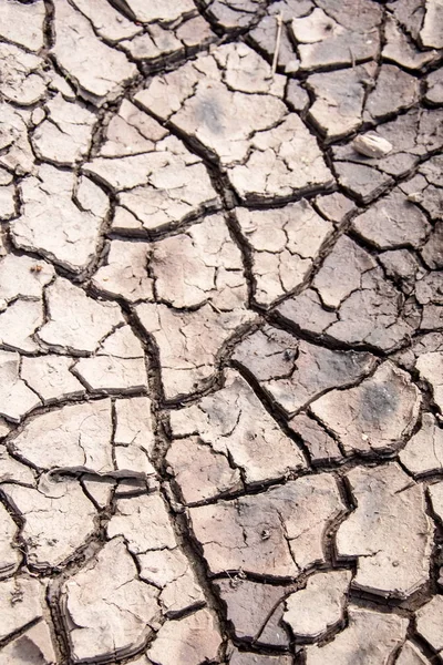 Textura Tierra Agrietada Sequía Prolongada — Foto de Stock