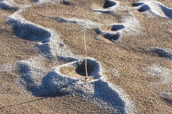 Текстура Піску Пісок Дикій Природі — стокове фото