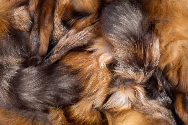 Texture, fond. Renard fourrure. un mammifère carnivore du chien fa — Photo