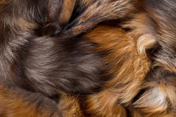 Textur, bakgrund. Päls Fox. ett köttätande däggdjur i hund fa — Stockfoto