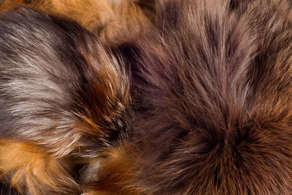Textur, bakgrund. Päls Fox. ett köttätande däggdjur i hund fa — Stockfoto