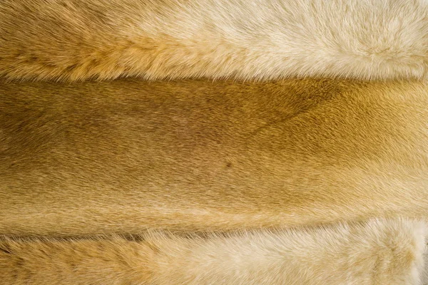 テクスチャ ミンクを毛皮します 特定の動物の彼の短い 柔らかい毛 イタチ科の肉食哺乳動物 — ストック写真
