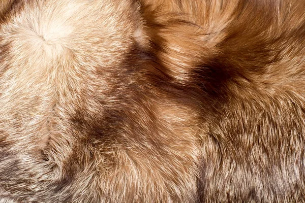 Pele Casaco Animal Pele Animal Textura Fundo Pele Raposa — Fotografia de Stock