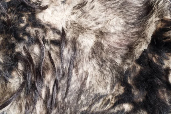 Szőr Bevon Ból Állat Állat Bundáját Textúra Háttér — Stock Fotó