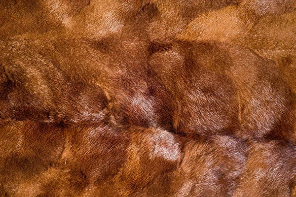 Textur Bakgrund Mink Brun — Stockfoto