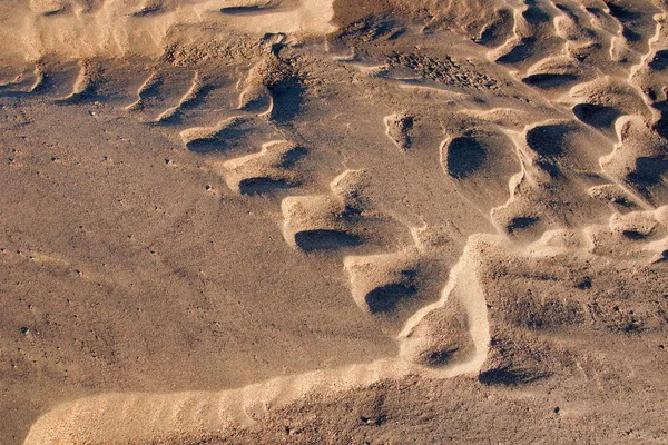 The texture of the sand. Sand in the wild nature